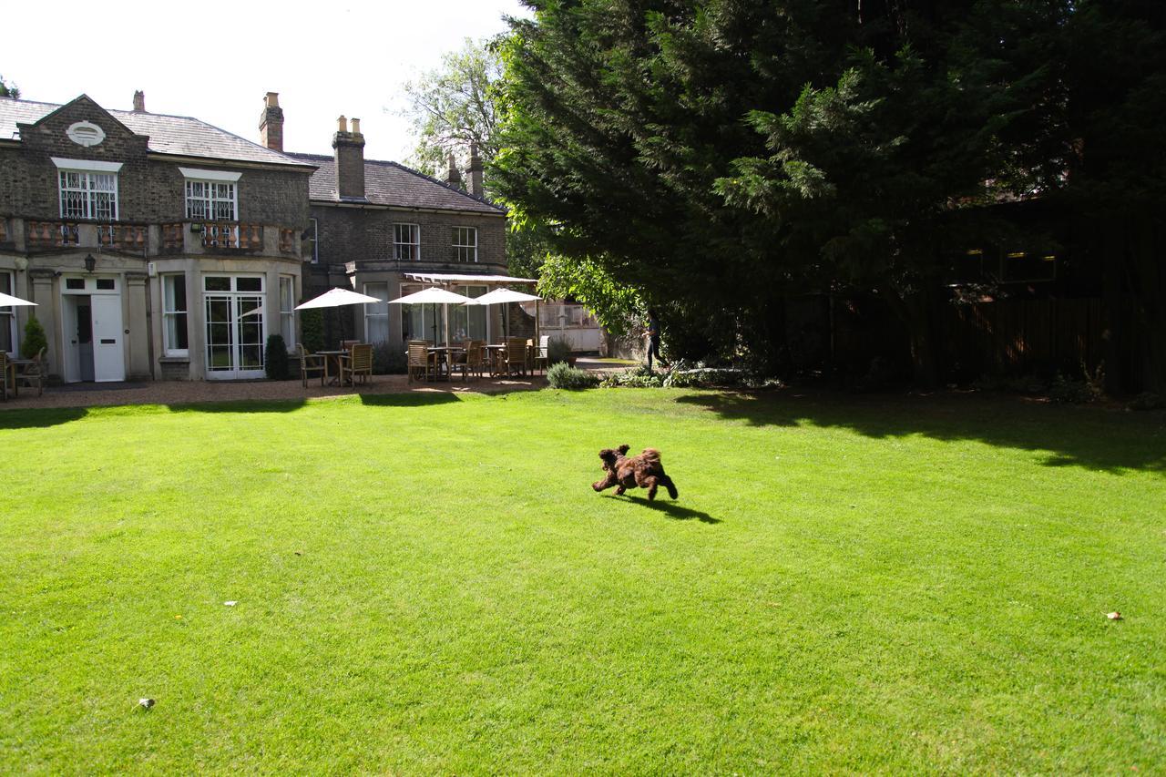 Gonville 4* CBG