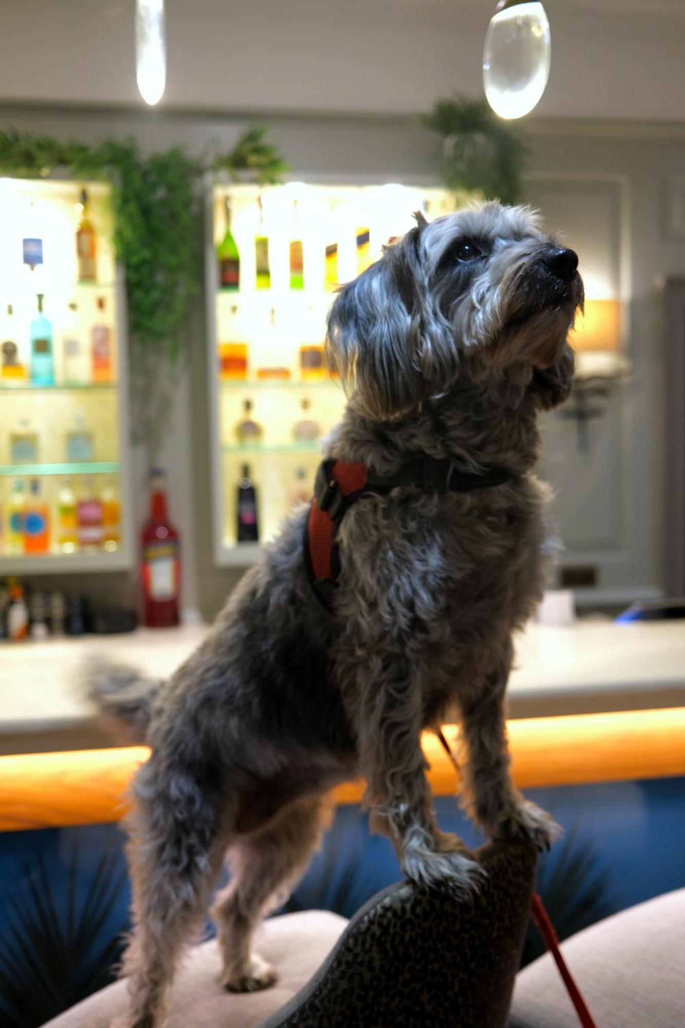 Gonville Hotel Cambridge